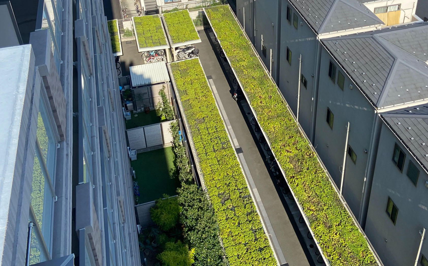 緑化型駐輪場屋根：緑化ルーフNを上からみた写真。